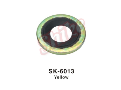 SK-6013